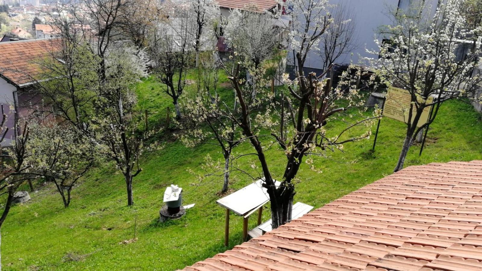 Sky Penthouse Aman Manzil Villa Sarajevo